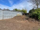 Foto - Gärtnerei Freilandfläche Gewächshaus in Dormagen-Delhoven