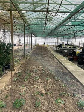 Foto - Grundst&uuml;ck in Köln