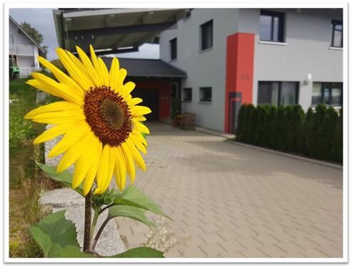 Foto - Naturnahes Wohnen vor den Toren Augsburgs (*provisionsfrei*)