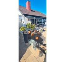 Großes Einfamilienhaus mit Einliegerwohnung, Garage, Pool, Garten - Höchstädt an der Donau