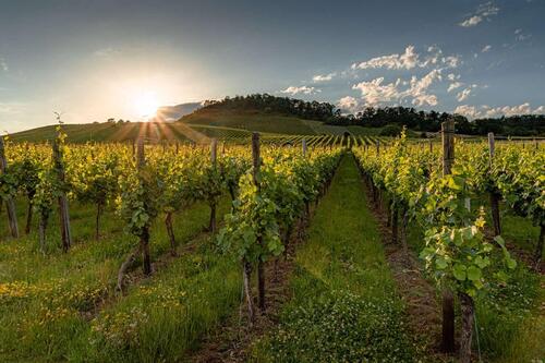 Foto - Etagenwohnung zur Miete in Vaihingen an der Enz