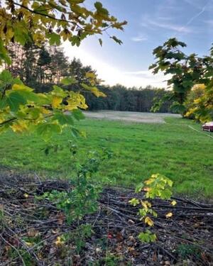 Foto - Grundstück zur Miete in Groß Kreutz (Havel)