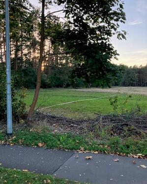 Foto - Grundstück in Groß Kreutz (Havel) zur Miete