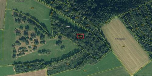Foto - Grundstück Wald Wiese Landwirtschaft Forstwirtschaft
