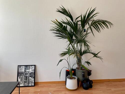 Foto - Etagenwohnung in München zur Miete