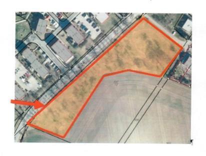 Foto - Weideland Flächen zur Heugewinnung