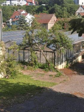 Foto - Einfamilienhaus in Billigheim zum Kaufen