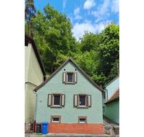 Frisch saniertes Einfamilienhaus mit Garten in Elmstein