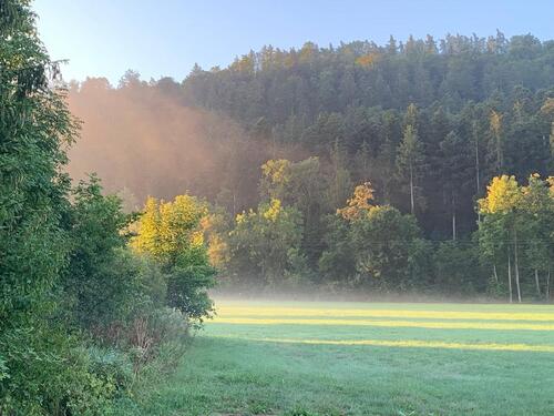 Foto - Grundst&uuml;ck in Sulz am Neckar zur Miete
