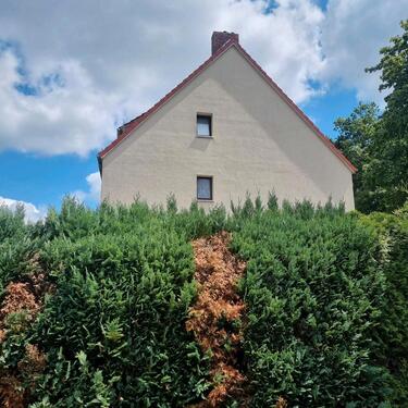 Foto - Eigentumswohnung Privatverkauf ( Blockdiek )