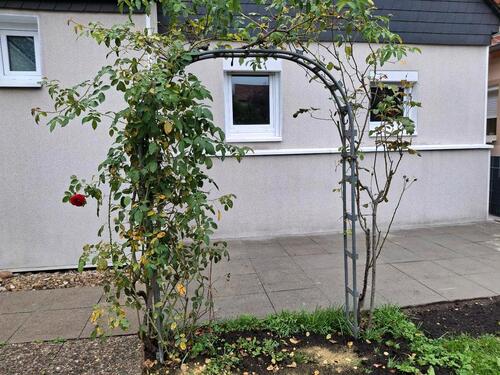 Foto - Einfamilienhaus zum Kaufen in Kirchheim unter Teck