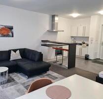 1-Zimmer Apartment Erlangen Zentrum - Allersberg Eismannsdorf