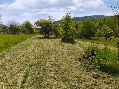 Foto - Grundst&uuml;ck zur Miete in Malsch