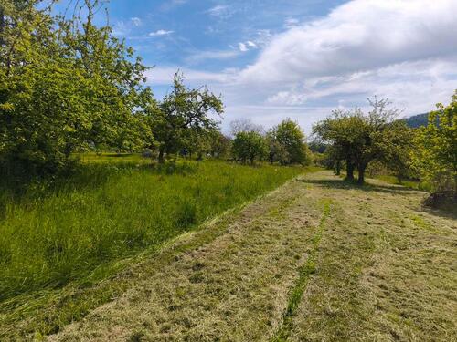 Foto - Grundst&uuml;ck in Malsch