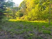 Foto - Grundst&uuml;ck in Malsch zur Miete