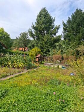 Foto - Einfamilienhaus zum Kaufen in Uder