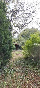 Foto - Einfamilienhaus in Illingen