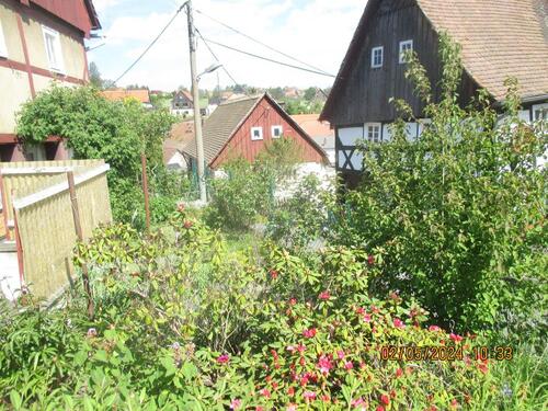 Foto - 4 Zimmer Einfamilienhaus zum Kaufen in Zittau