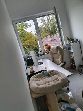 Foto - Einfamilienhaus in Frankfurt am Main zur Miete