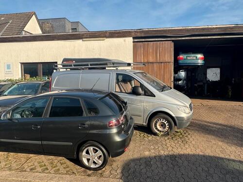 Foto - andere in Börnsen