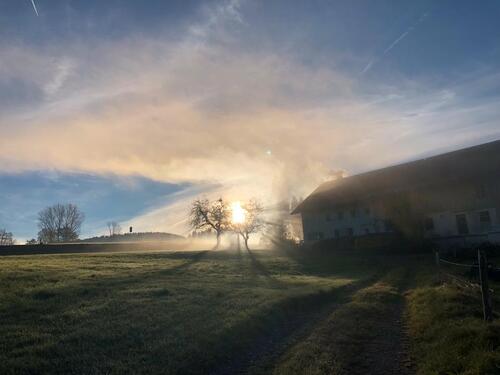 Foto - Naturnahe Ferienwohnung in urigem Bauernhaus im West-Allgäu