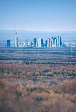 Foto - 3 Zimmer andere zur Miete in Riedstadt