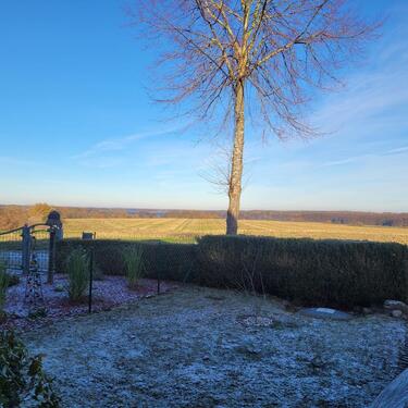 Foto - 4 Zimmer Doppelhaushälfte zum Kaufen in Waren (Müritz)