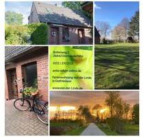Ostfriesland Ferienwohnung Natur pur 2 Personen plus Haustier - Ostrhauderfehn