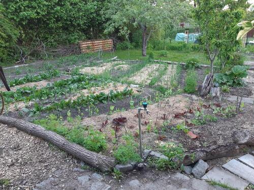 Foto - Grundst&uuml;ck zur Miete in Cottbus