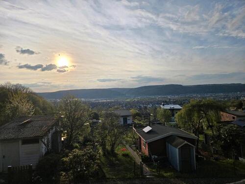 Foto - Gartenanlage kleingartenverein! Bis Donnerstag!