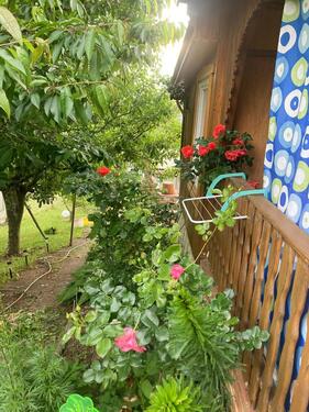 Foto - Schrebergarten ( Homberg (Efze))