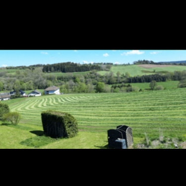 Foto - 4 Zimmer Etagenwohnung in Stadtkyll