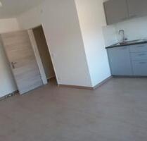 Neu renovierte 1-Zimmer-Wohnung mit Einbauküche in Bingen - Bingen am Rhein