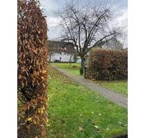 Mietwohnung - 950,00 EUR Kaltmiete, in Büren (PLZ: 33142)