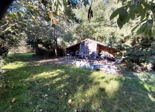 Foto - Garten Wohnwagenplatz Obstgarten Pachtgarten Havelberg Berlin nah