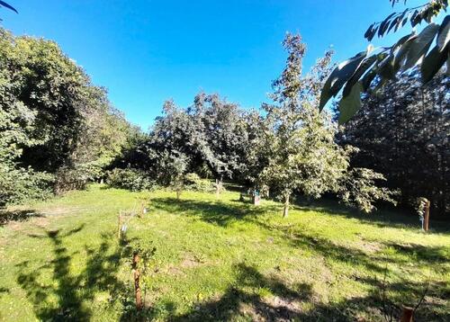 Foto - Grundst&uuml;ck zur Miete in Havelberg