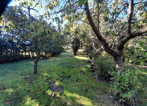 Foto - Grundst&uuml;ck in Havelberg