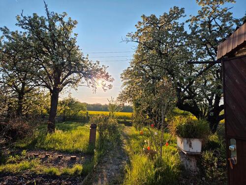 Foto - Kleingarten bei Delitzsch - 800,00 EUR Kaltmiete, ca.  0,00 m²