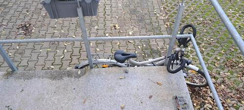 Foto - Etagenwohnung in Dresden zur Miete