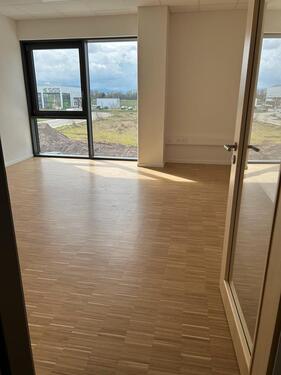 Foto - andere in Bühl