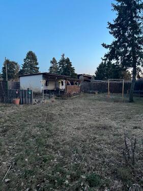 Foto - Grundst&uuml;ck in Osternienburger Land zur Miete