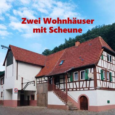 Foto - Zwei Wohnhäuser mit Scheune auf einem Grundstück – provisionsfrei