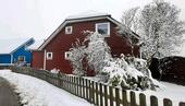 Foto - 