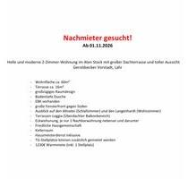 2-Zi-Whg -Penthouse - in Lahr ab 01.11.2026 - Lahr (Schwarzwald)