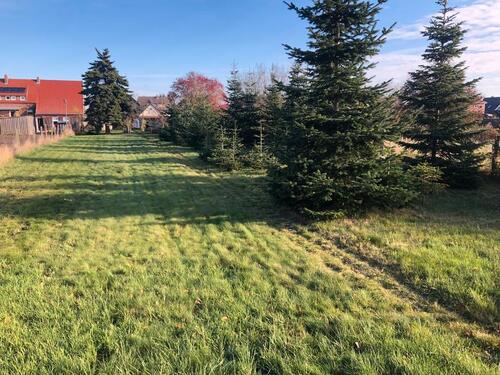 Foto - Einfamilienhaus in Grafhorst zum Kaufen