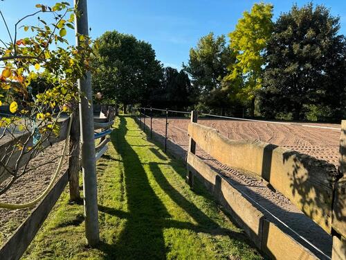 Foto - Bauernhaus, Landhaus in Coppenbrügge zum Kaufen