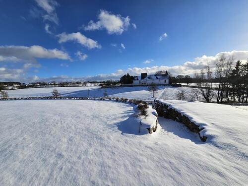 Foto - andere in Hillesheim