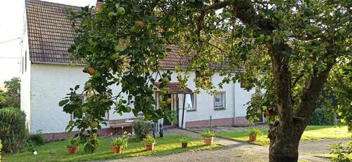 Foto - Einfamilienhaus in Oberschöna zum Kaufen