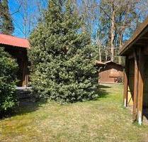 Wochenendhaus in sehr ruhiger Umgebung - Wingst