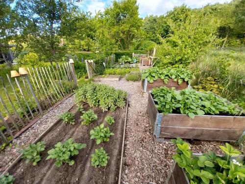 Foto - Grundst&uuml;ck zur Miete in Sanitz